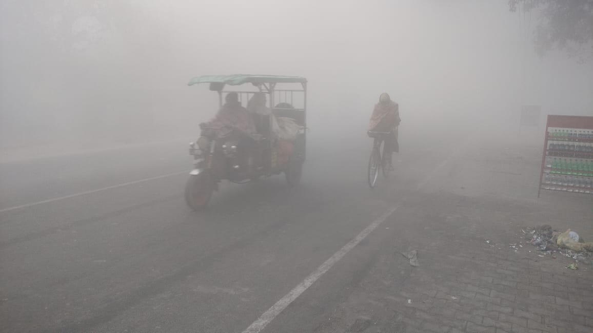 शामली पानीपत खटीमा मार्ग पर रात में कोहरे ने ओढ़ ली चादर