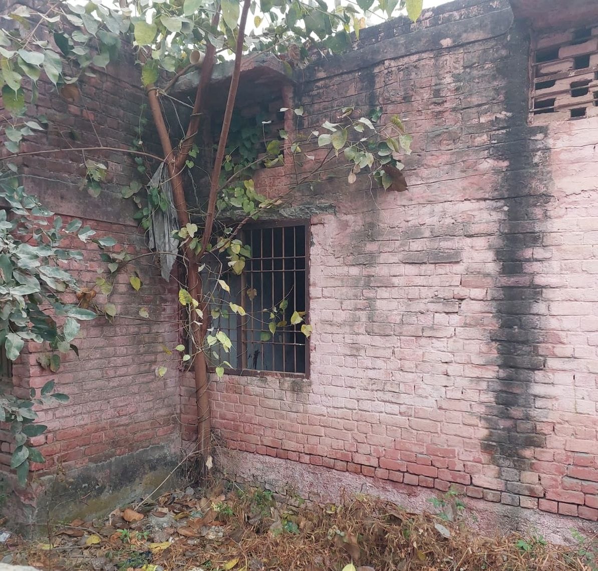 फोटो 24- सोनीपत के गांव ताजपुर स्थित राजकीय प्राथमिक विद्यालय की कक्षा में बिना बिजली व डेस्क फोटो 24- सोनीपत के गांव ताजपुर स्थित राजकीय प्राथमिक विद्यालय की कक्षा में बिना बिजली व डेस्क