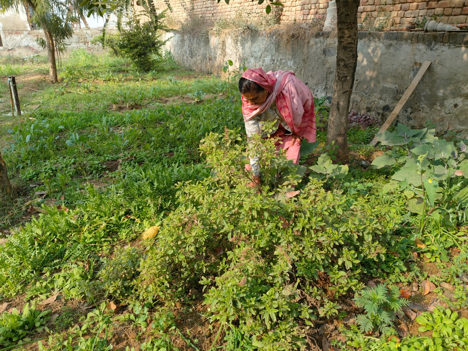 कमला देवी