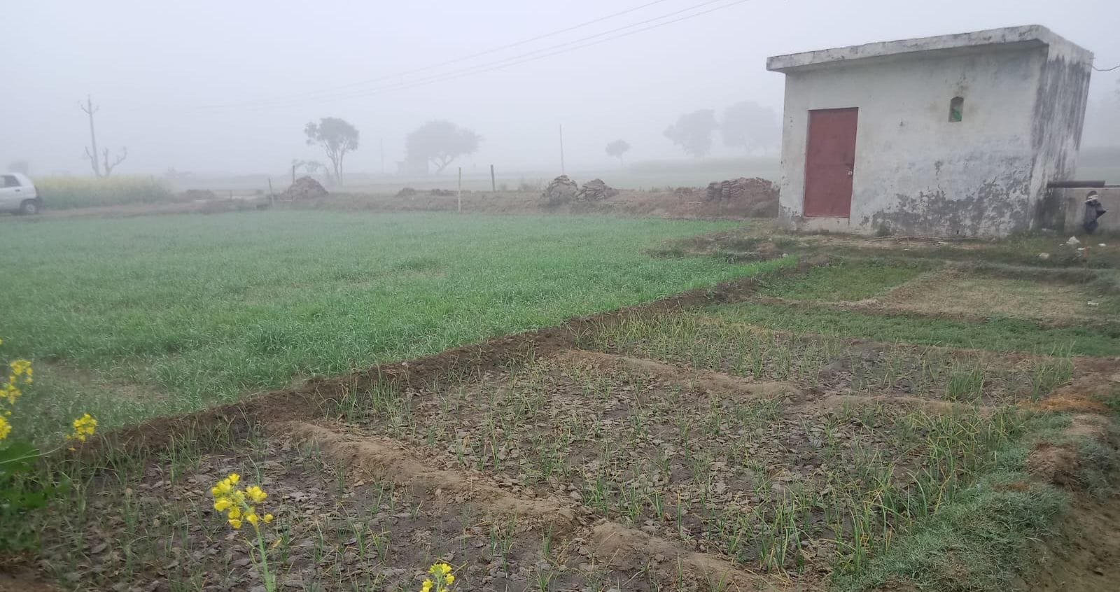 सुबह सड़क पर छाया कोहरा। संवाद सुबह सड़क पर छाया कोहरा। संवाद