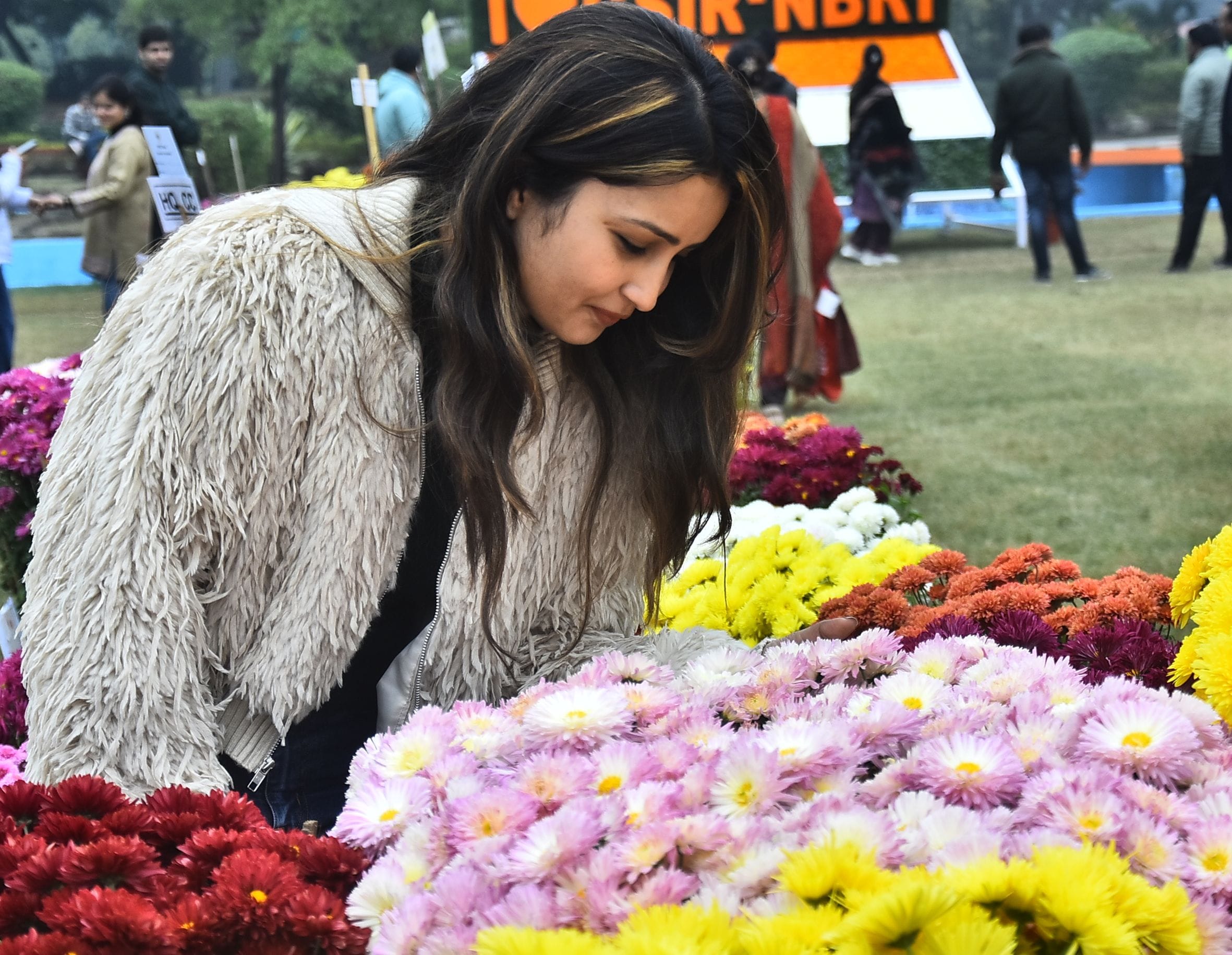 वनस्पति उद्यान स्थित सेंट्रल लॉन में दो दिवसीय गुलदाउदी एवं कोलियस पुष्प प्रदर्शनी–2025 का शुभा