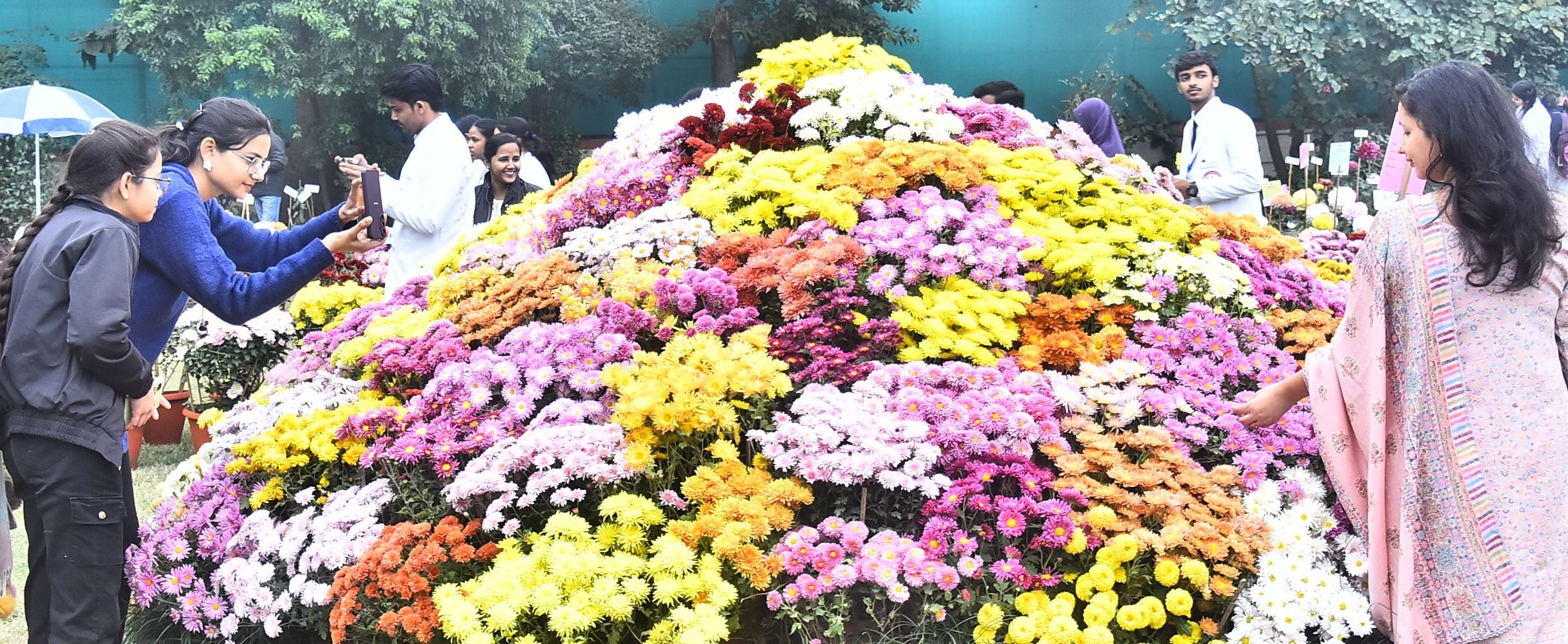 वनस्पति उद्यान स्थित सेंट्रल लॉन में दो दिवसीय गुलदाउदी एवं कोलियस पुष्प प्रदर्शनी–2025 का शुभा