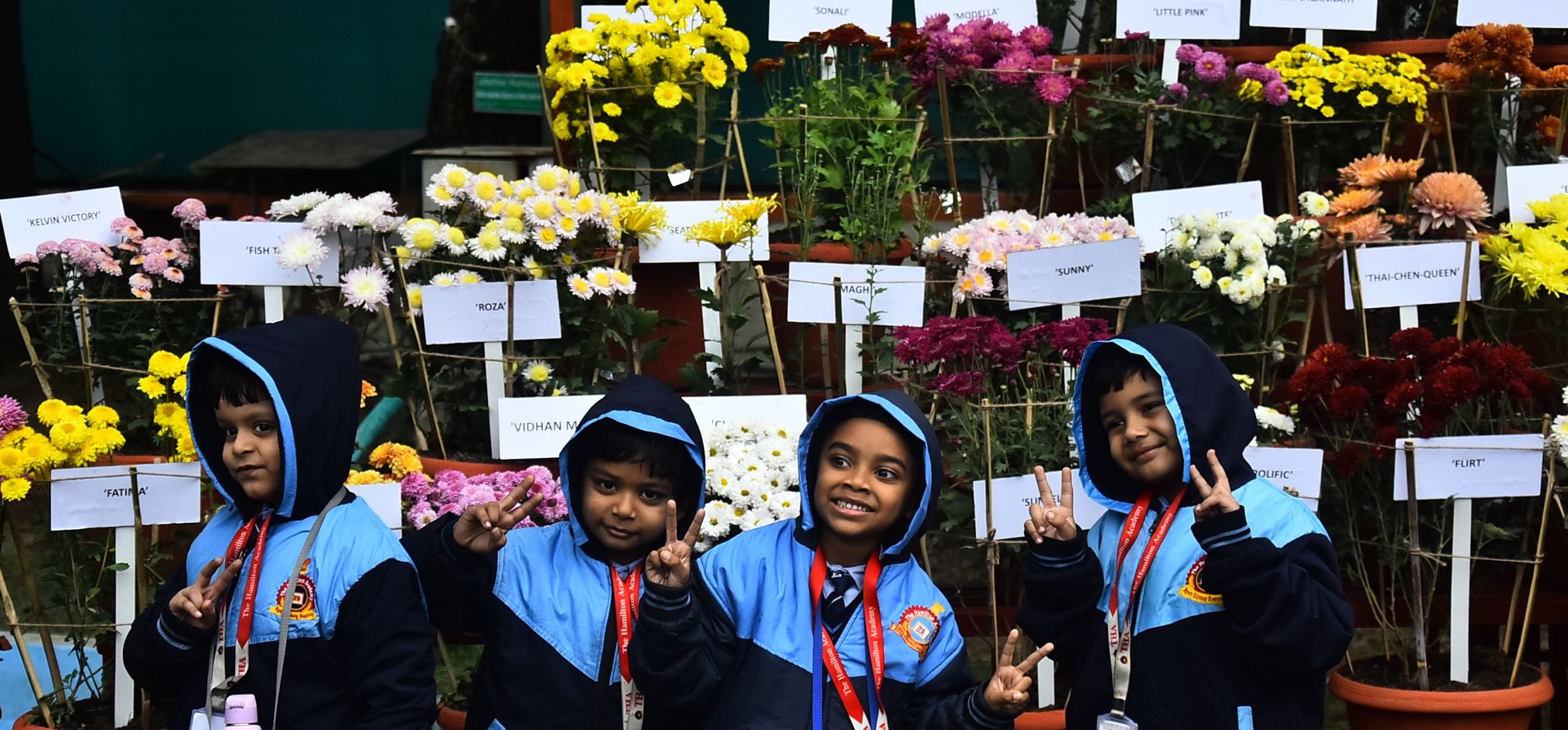 वनस्पति उद्यान स्थित सेंट्रल लॉन में दो दिवसीय गुलदाउदी एवं कोलियस पुष्प प्रदर्शनी–2025 का शुभा