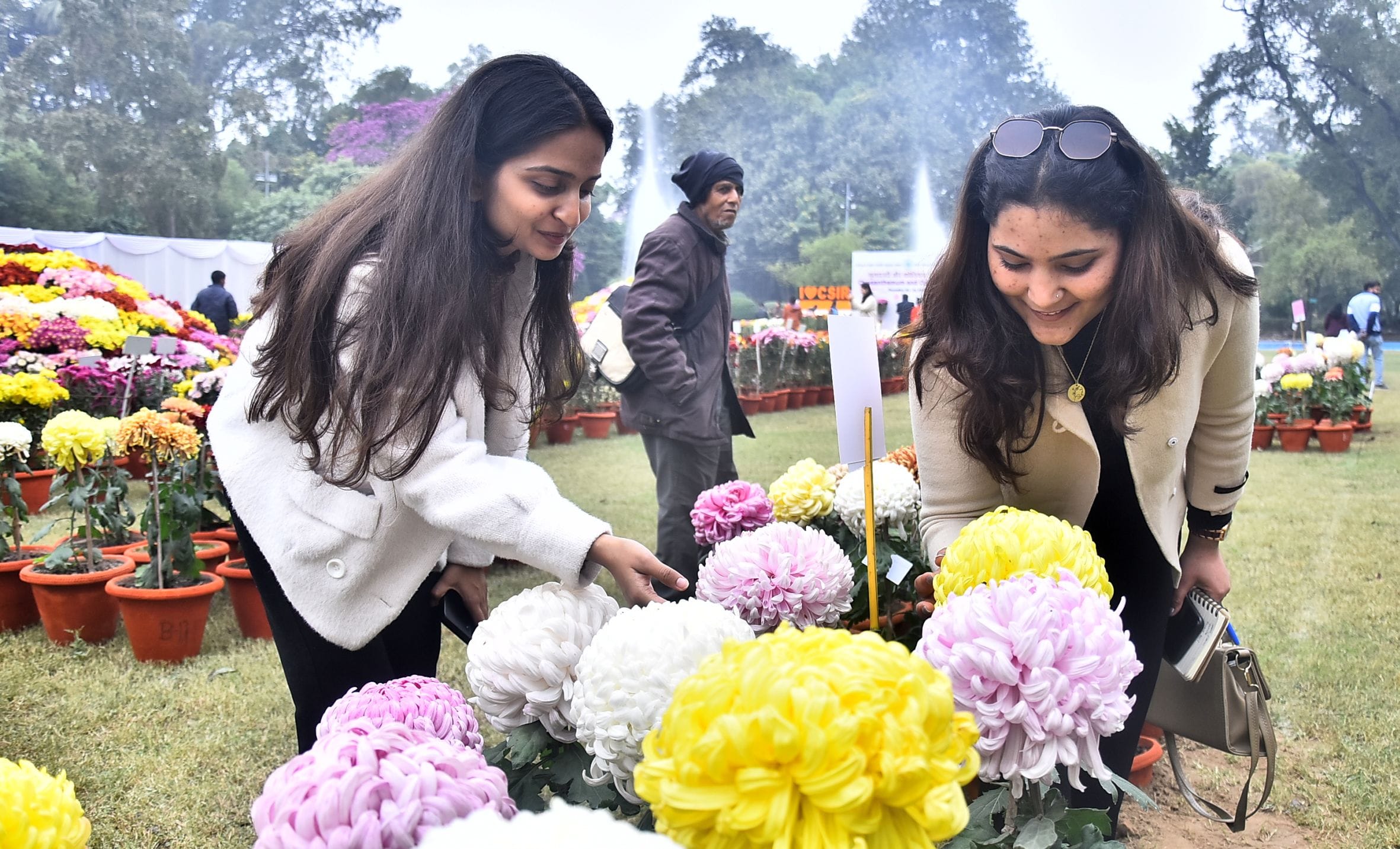 वनस्पति उद्यान स्थित सेंट्रल लॉन में दो दिवसीय गुलदाउदी एवं कोलियस पुष्प प्रदर्शनी–2025 का शुभा