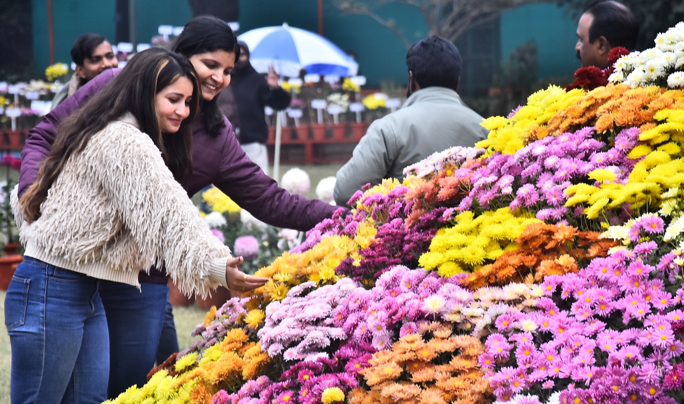 वनस्पति उद्यान स्थित सेंट्रल लॉन में दो दिवसीय गुलदाउदी एवं कोलियस पुष्प प्रदर्शनी–2025 का शुभा