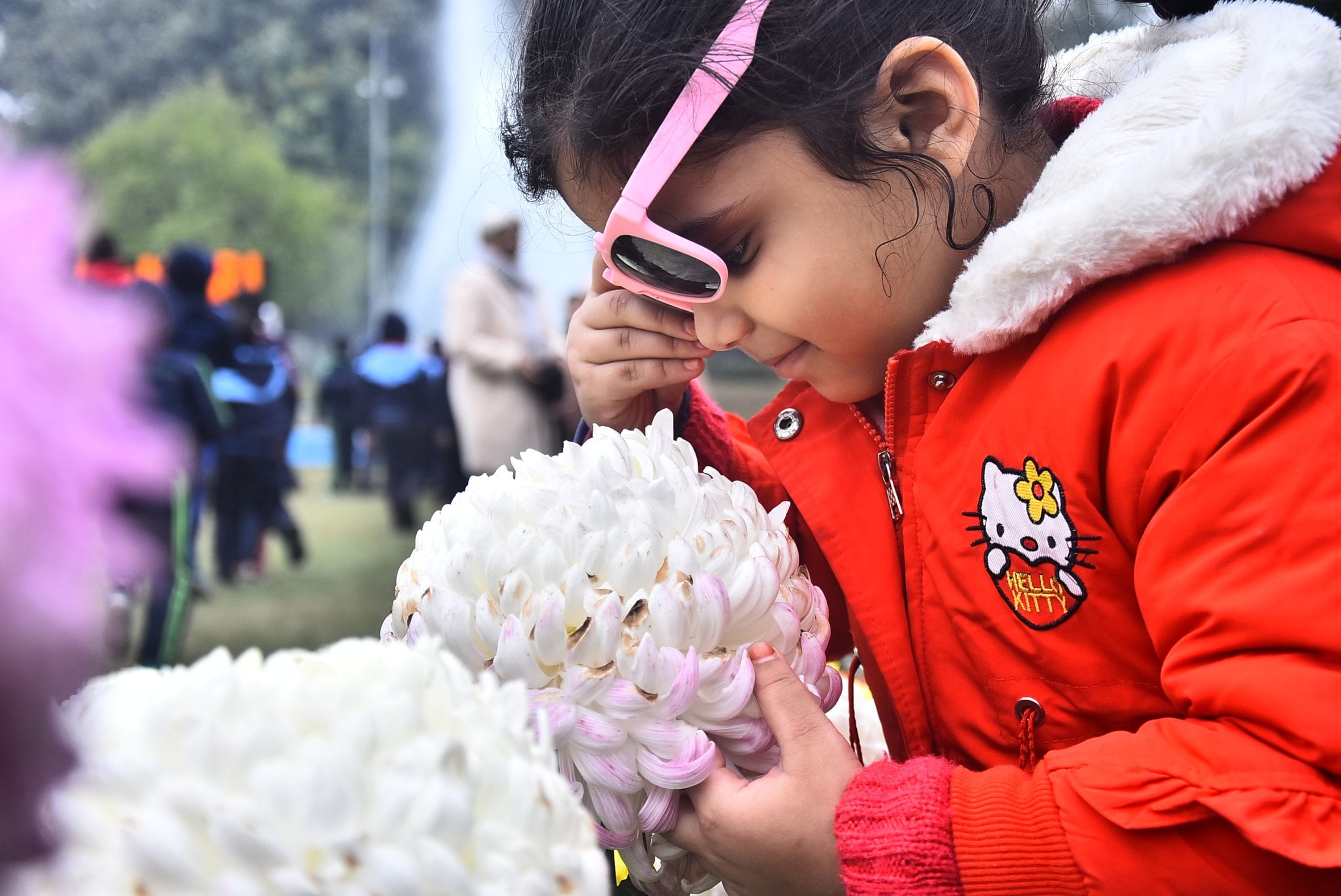 वनस्पति उद्यान स्थित सेंट्रल लॉन में दो दिवसीय गुलदाउदी एवं कोलियस पुष्प प्रदर्शनी–2025 का शुभा
