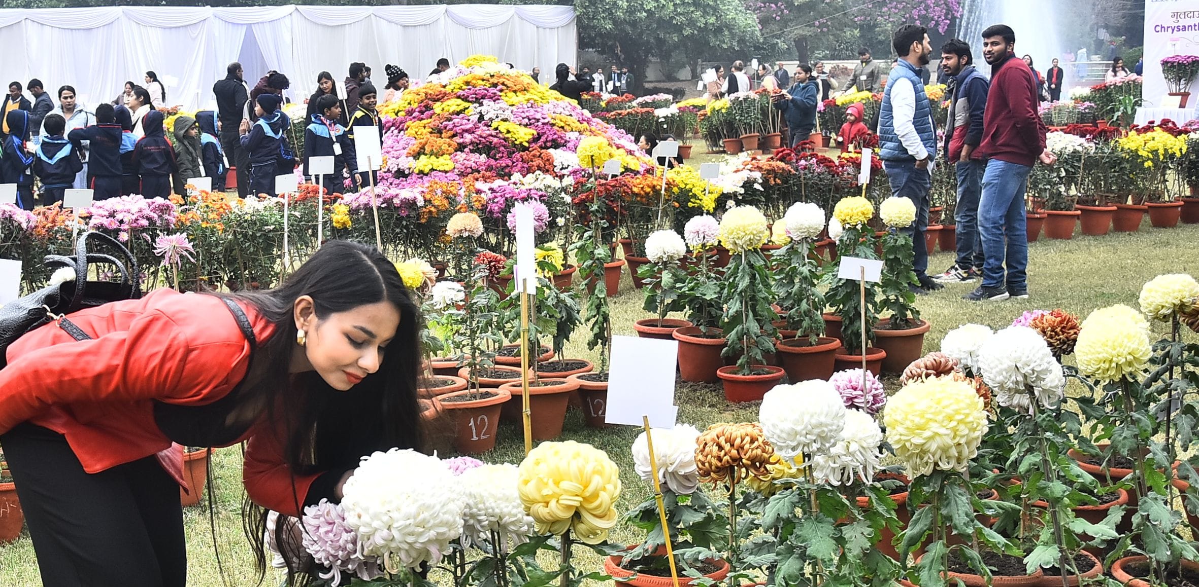वनस्पति उद्यान स्थित सेंट्रल लॉन में दो दिवसीय गुलदाउदी एवं कोलियस पुष्प प्रदर्शनी–2025 का शुभा