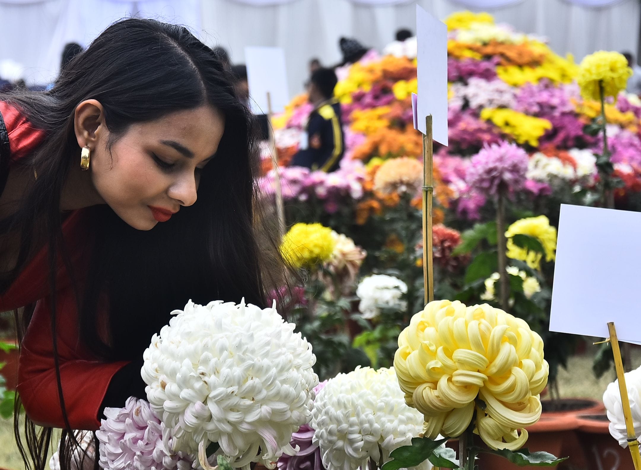 वनस्पति उद्यान स्थित सेंट्रल लॉन में दो दिवसीय गुलदाउदी एवं कोलियस पुष्प प्रदर्शनी–2025 का शुभा