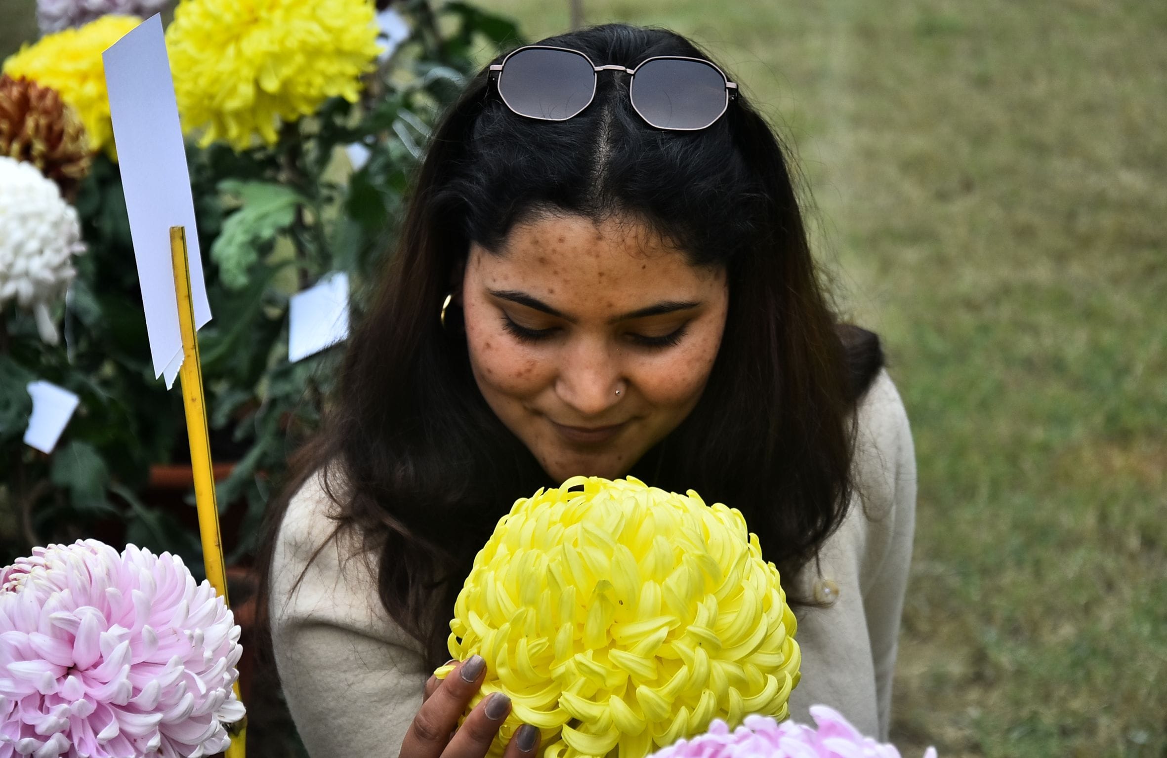 वनस्पति उद्यान स्थित सेंट्रल लॉन में दो दिवसीय गुलदाउदी एवं कोलियस पुष्प प्रदर्शनी–2025 का शुभा