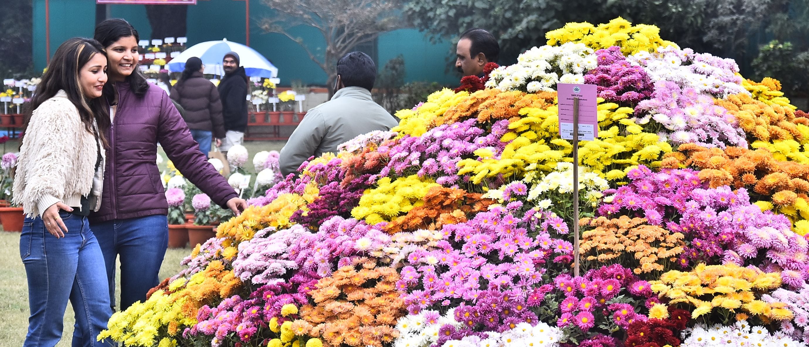 वनस्पति उद्यान स्थित सेंट्रल लॉन में दो दिवसीय गुलदाउदी एवं कोलियस पुष्प प्रदर्शनी–2025 का शुभा
