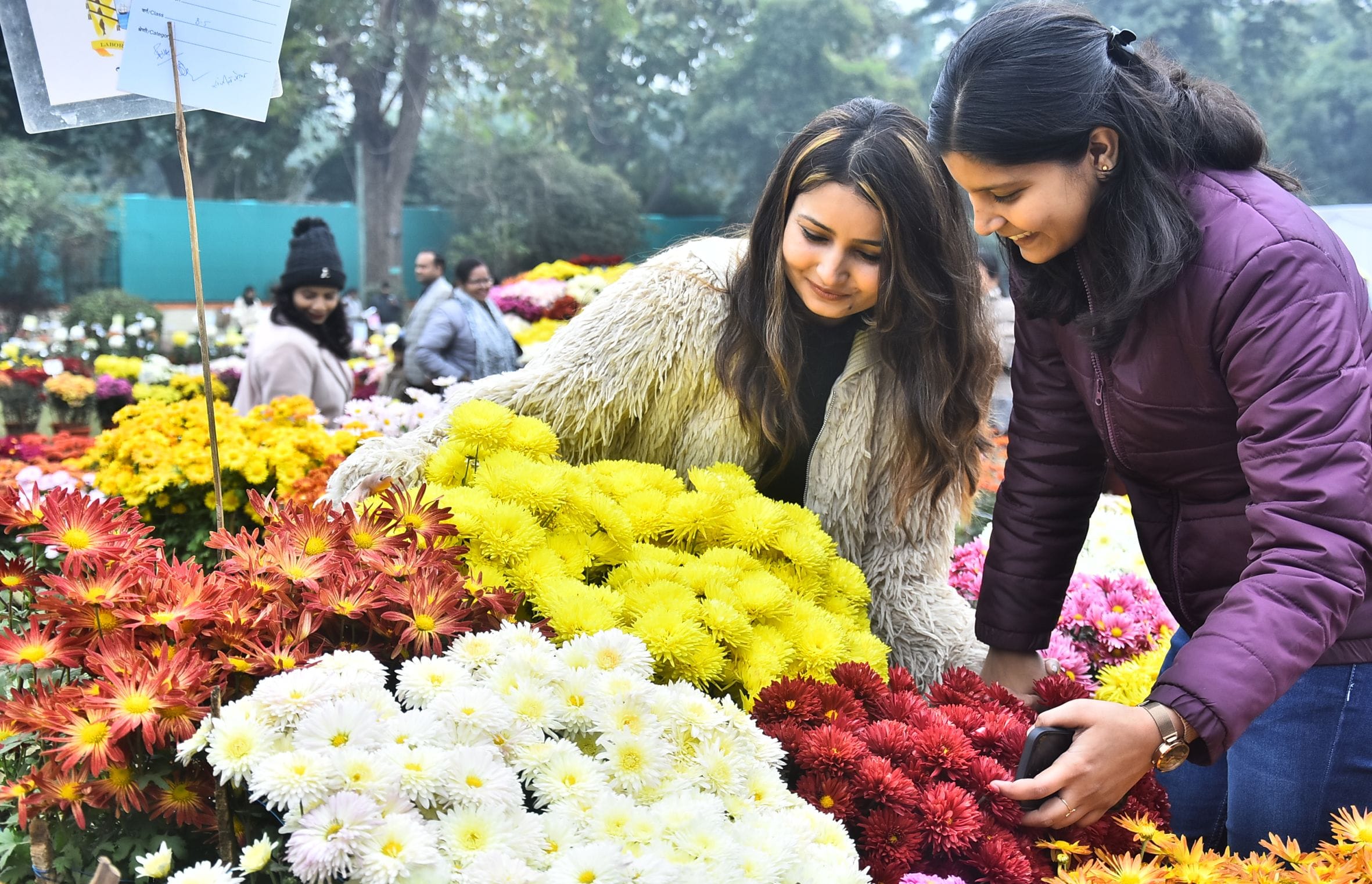 वनस्पति उद्यान स्थित सेंट्रल लॉन में दो दिवसीय गुलदाउदी एवं कोलियस पुष्प प्रदर्शनी–2025 का शुभा