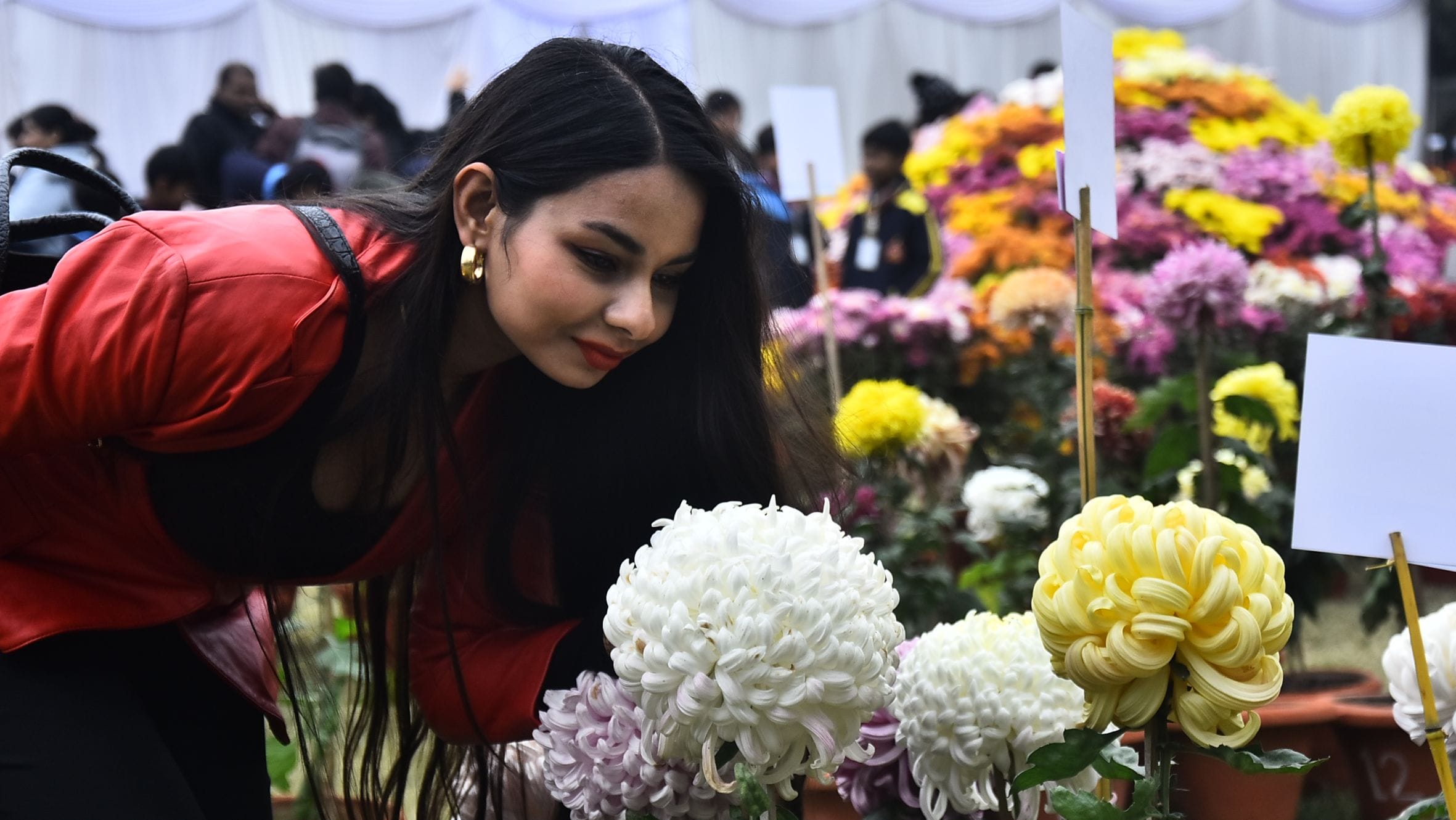 वनस्पति उद्यान स्थित सेंट्रल लॉन में दो दिवसीय गुलदाउदी एवं कोलियस पुष्प प्रदर्शनी–2025 का शुभा