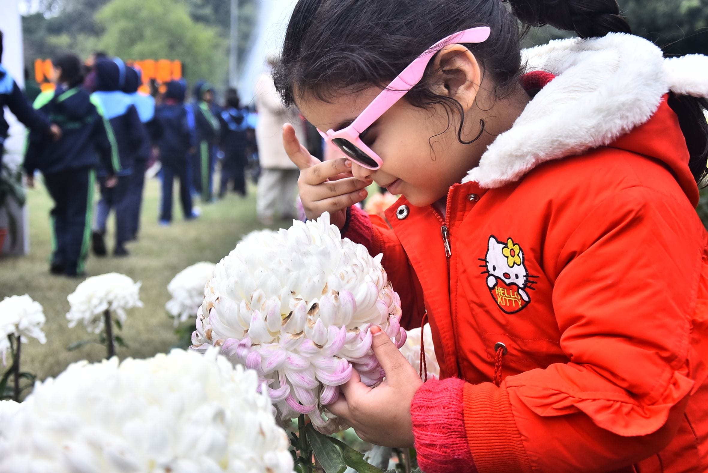 वनस्पति उद्यान स्थित सेंट्रल लॉन में दो दिवसीय गुलदाउदी एवं कोलियस पुष्प प्रदर्शनी–2025 का शुभा