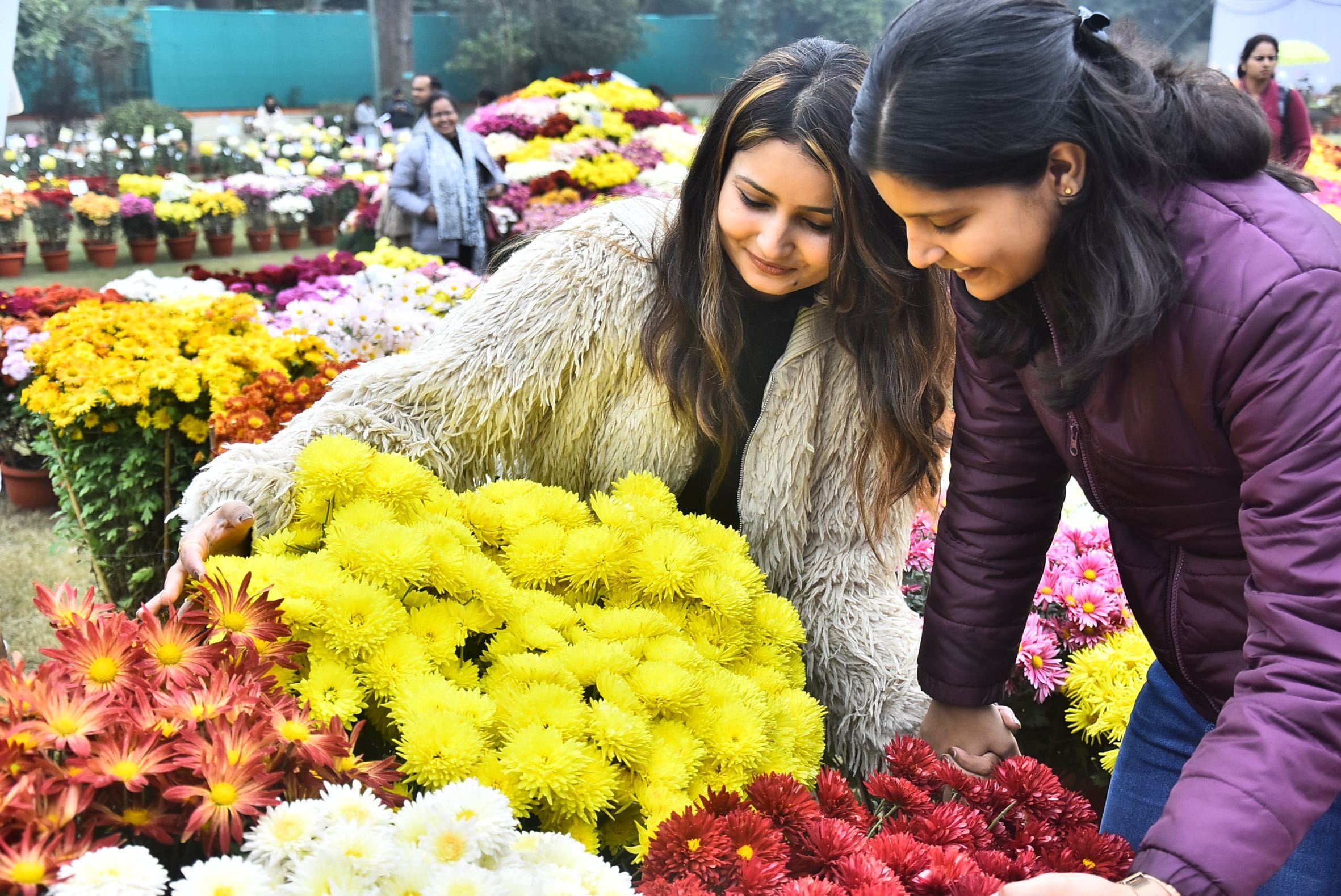 वनस्पति उद्यान स्थित सेंट्रल लॉन में दो दिवसीय गुलदाउदी एवं कोलियस पुष्प प्रदर्शनी–2025 का शुभा