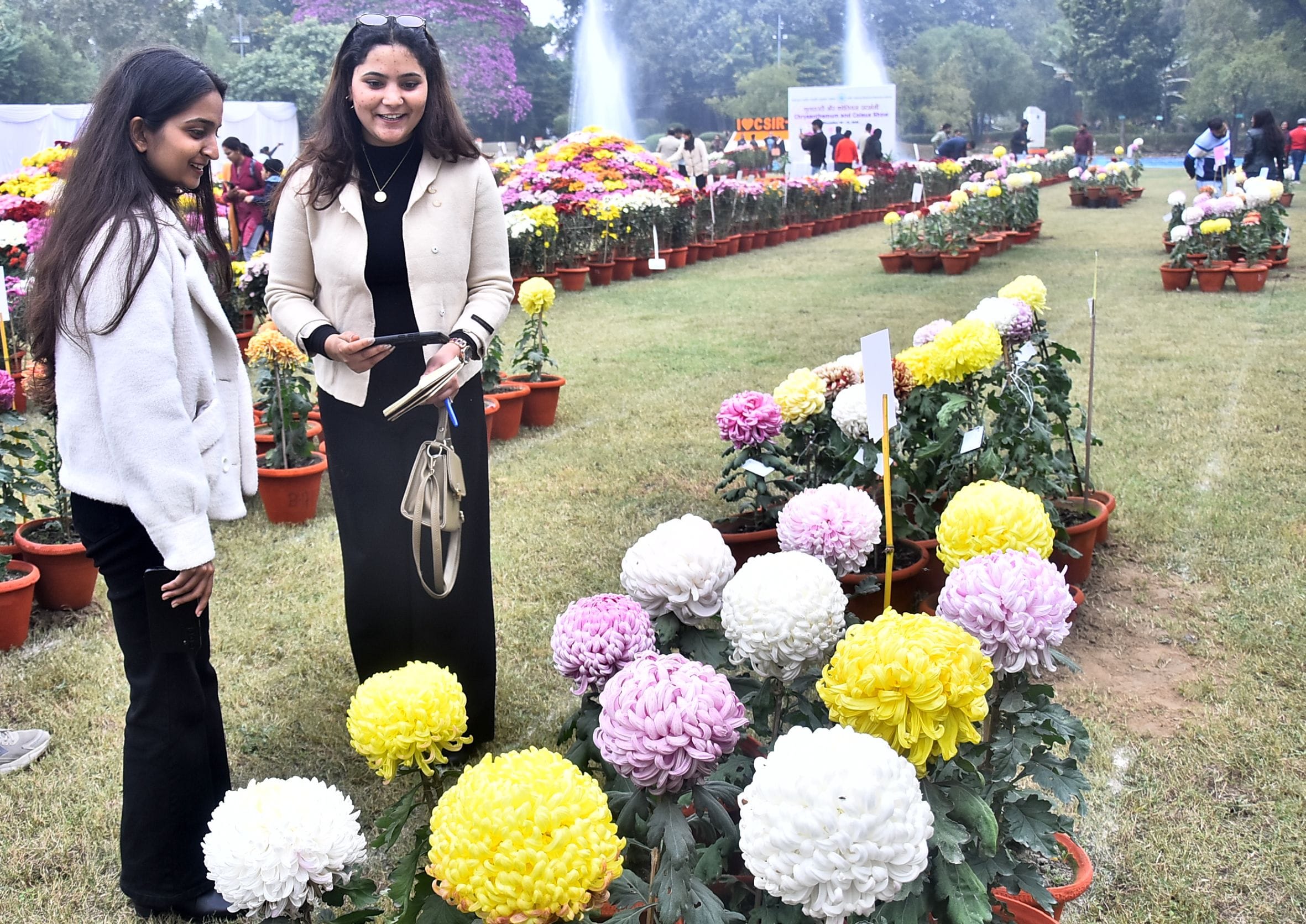 वनस्पति उद्यान स्थित सेंट्रल लॉन में दो दिवसीय गुलदाउदी एवं कोलियस पुष्प प्रदर्शनी–2025 का शुभा