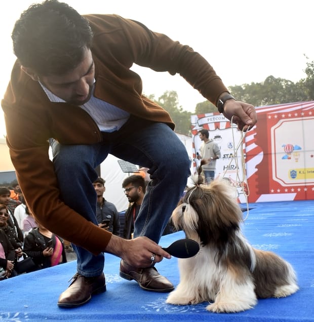 अमर उजाला....साकेत स्पोर्ट्स क्लब में पेटकाम द्वारा आयोजित डाग शो में शामिल डाग। अमर उजाला....साकेत स्पोर्ट्स क्लब में पेटकाम द्वारा आयोजित डाग शो में शामिल डाग।