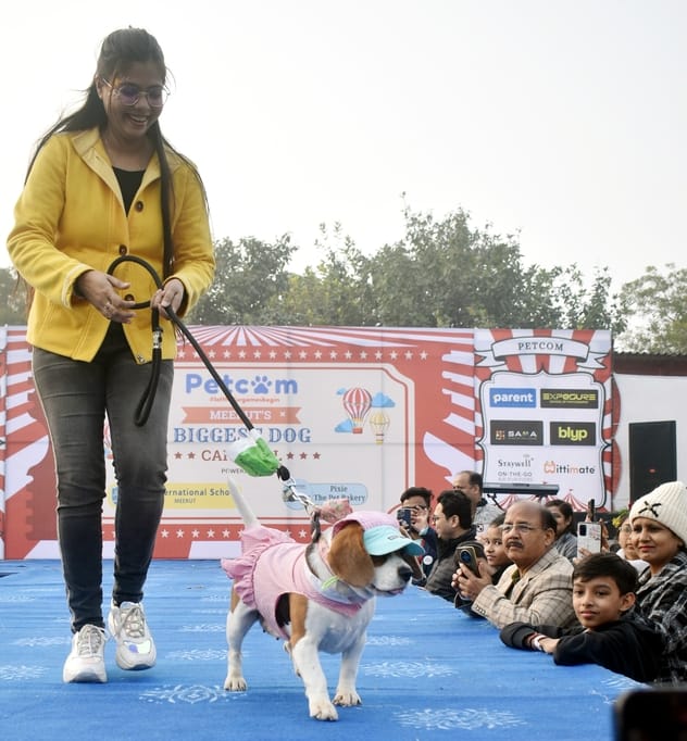 अमर उजाला....साकेत स्पोर्ट्स क्लब में पेटकाम द्वारा आयोजित डाग शो में शामिल डाग। अमर उजाला....साकेत स्पोर्ट्स क्लब में पेटकाम द्वारा आयोजित डाग शो में शामिल डाग।