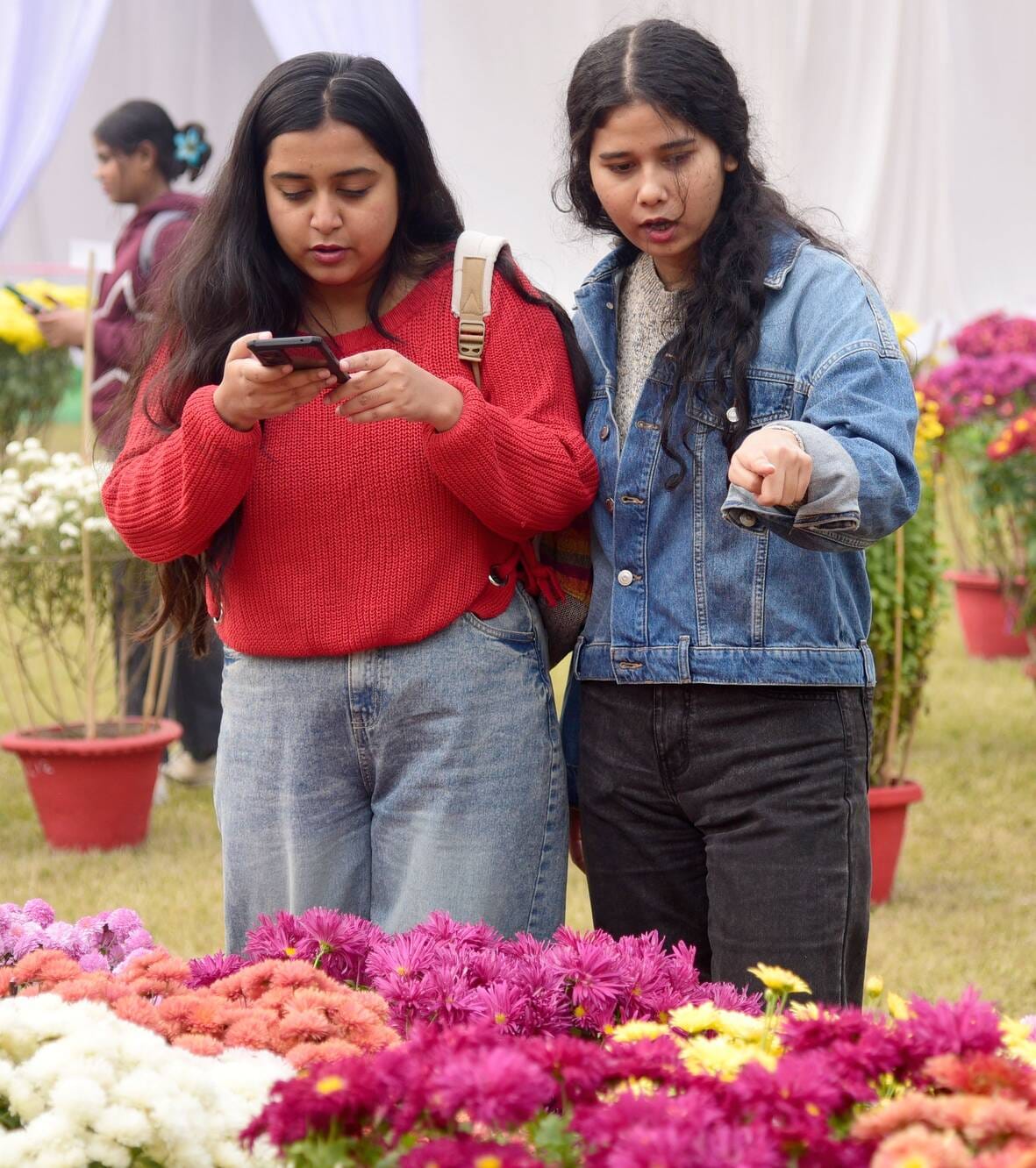 गुलदाउदी व कोलियस पुष्प प्रदर्शनी–2025 रविवार शाम खुशबू, सुकून और अनगिनत यादों को समेटे विदा हो गुलदाउदी व कोलियस पुष्प प्रदर्शनी–2025 रविवार शाम खुशबू, सुकून और अनगिनत यादों को समेटे विदा हो