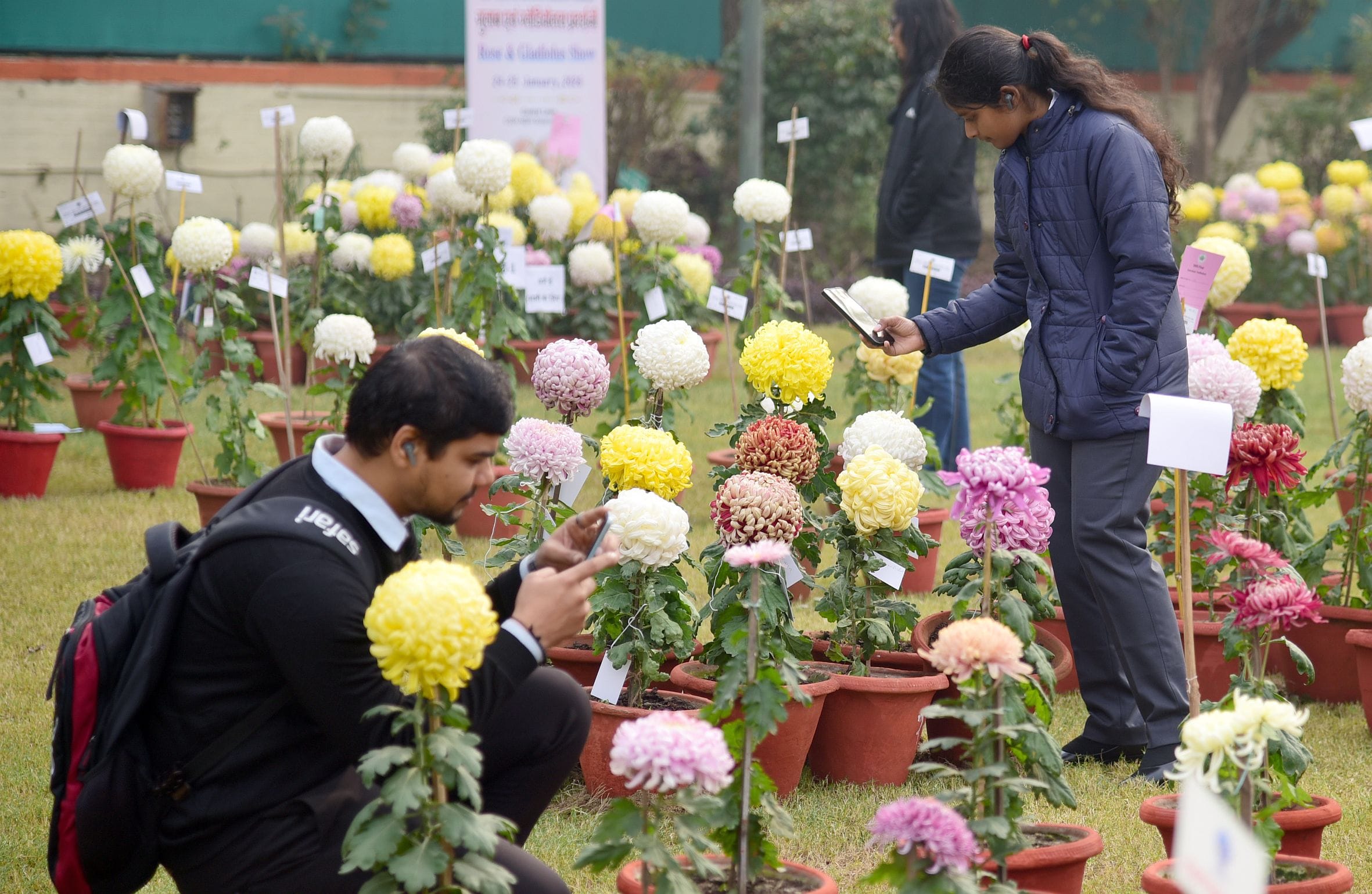 गुलदाउदी व कोलियस पुष्प प्रदर्शनी–2025 रविवार शाम खुशबू, सुकून और अनगिनत यादों को समेटे विदा हो गुलदाउदी व कोलियस पुष्प प्रदर्शनी–2025 रविवार शाम खुशबू, सुकून और अनगिनत यादों को समेटे विदा हो