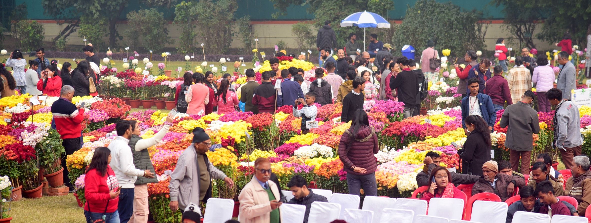 गुलदाउदी व कोलियस पुष्प प्रदर्शनी–2025 रविवार शाम खुशबू, सुकून और अनगिनत यादों को समेटे विदा हो गुलदाउदी व कोलियस पुष्प प्रदर्शनी–2025 रविवार शाम खुशबू, सुकून और अनगिनत यादों को समेटे विदा हो