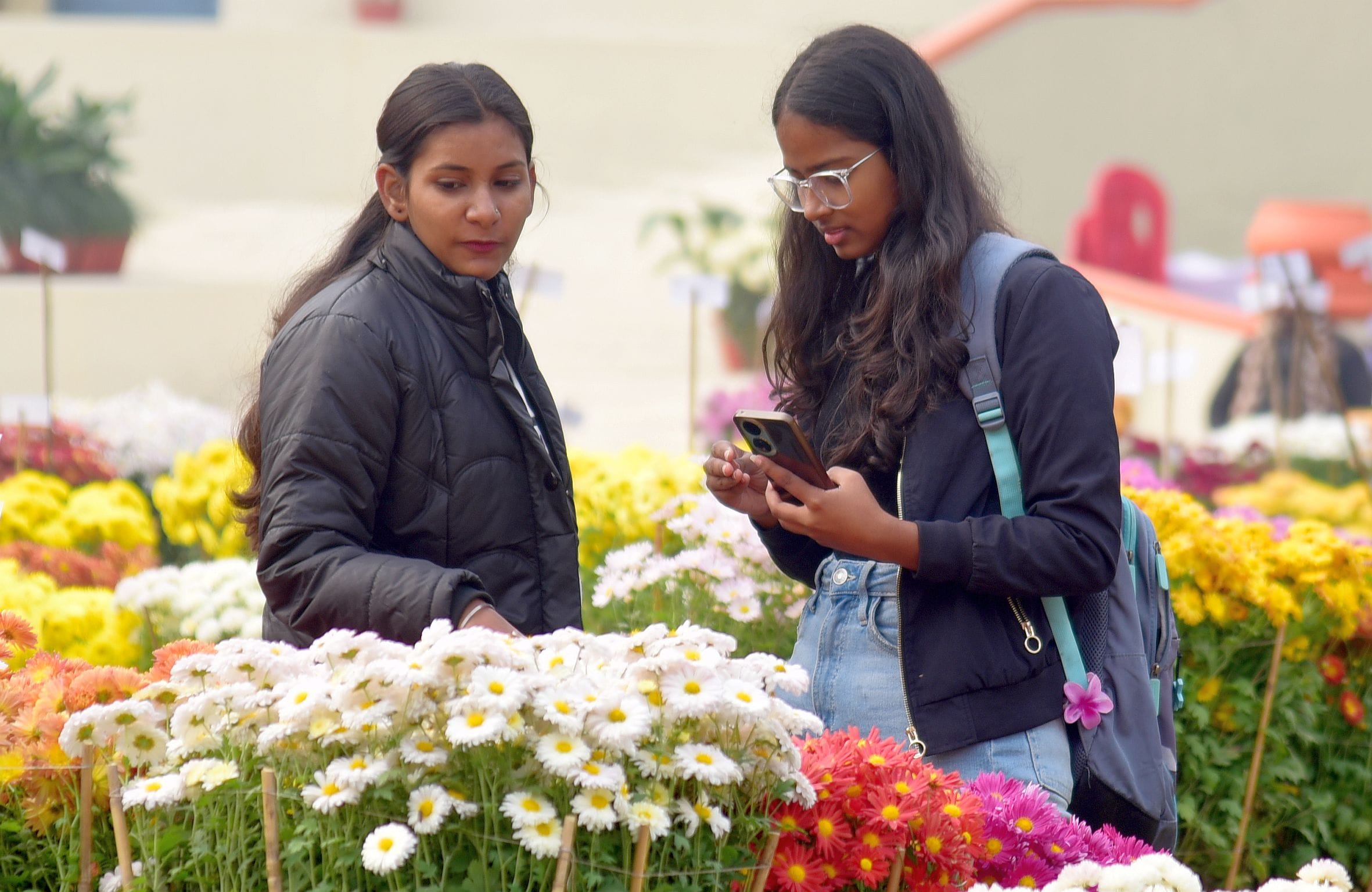 गुलदाउदी व कोलियस पुष्प प्रदर्शनी–2025 रविवार शाम खुशबू, सुकून और अनगिनत यादों को समेटे विदा हो गुलदाउदी व कोलियस पुष्प प्रदर्शनी–2025 रविवार शाम खुशबू, सुकून और अनगिनत यादों को समेटे विदा हो