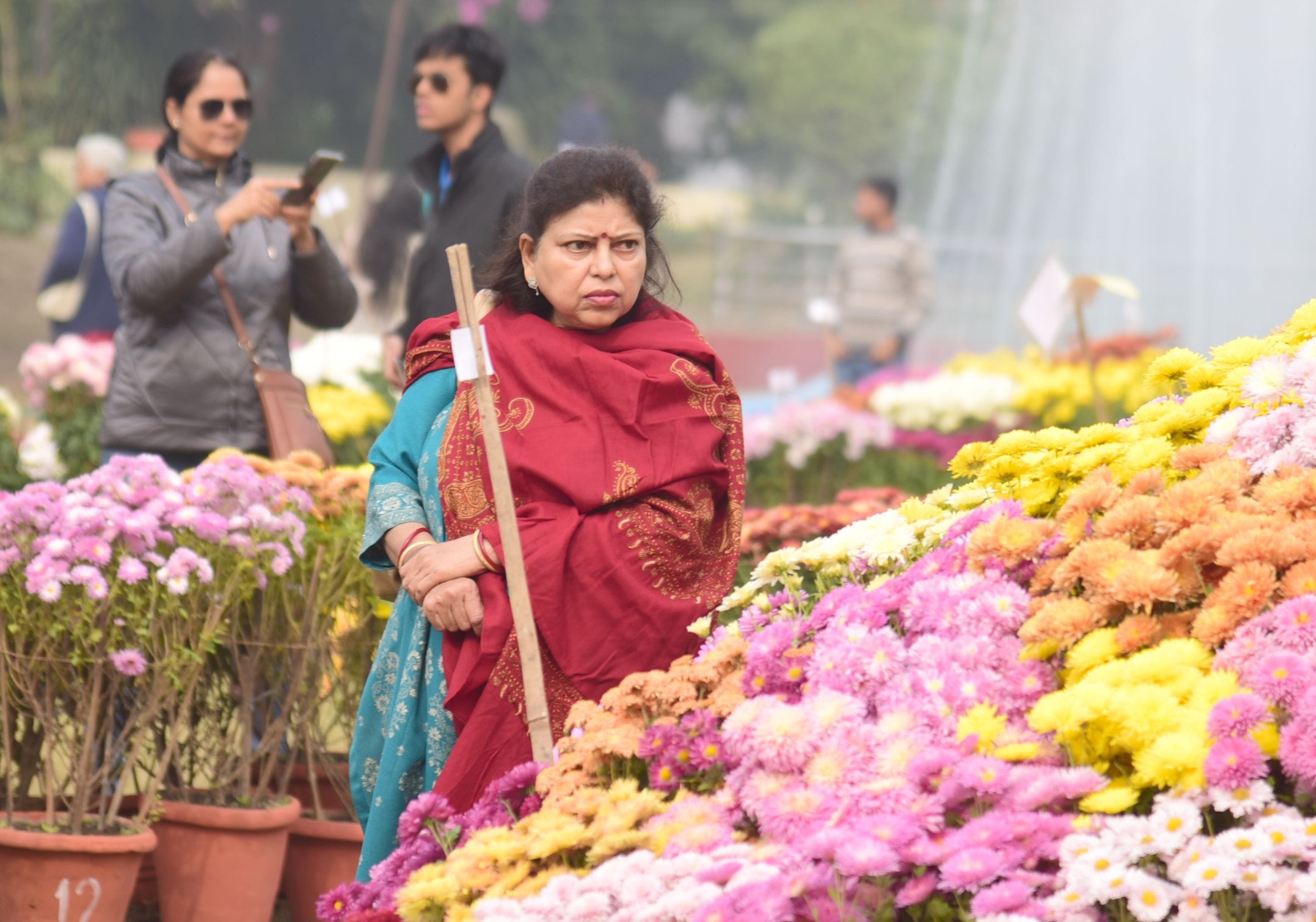 गुलदाउदी व कोलियस पुष्प प्रदर्शनी–2025 रविवार शाम खुशबू, सुकून और अनगिनत यादों को समेटे विदा हो गुलदाउदी व कोलियस पुष्प प्रदर्शनी–2025 रविवार शाम खुशबू, सुकून और अनगिनत यादों को समेटे विदा हो