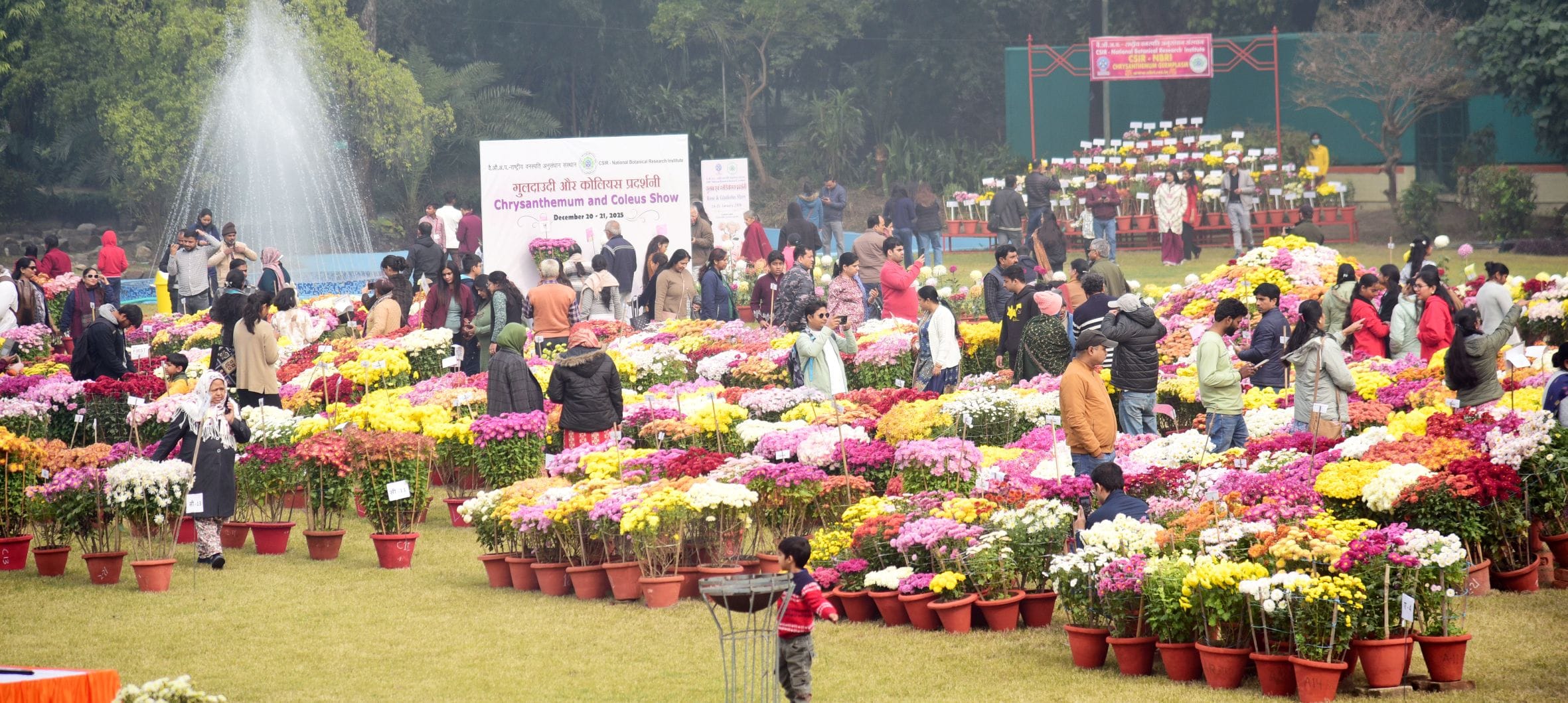 गुलदाउदी व कोलियस पुष्प प्रदर्शनी–2025 रविवार शाम खुशबू, सुकून और अनगिनत यादों को समेटे विदा हो गुलदाउदी व कोलियस पुष्प प्रदर्शनी–2025 रविवार शाम खुशबू, सुकून और अनगिनत यादों को समेटे विदा हो