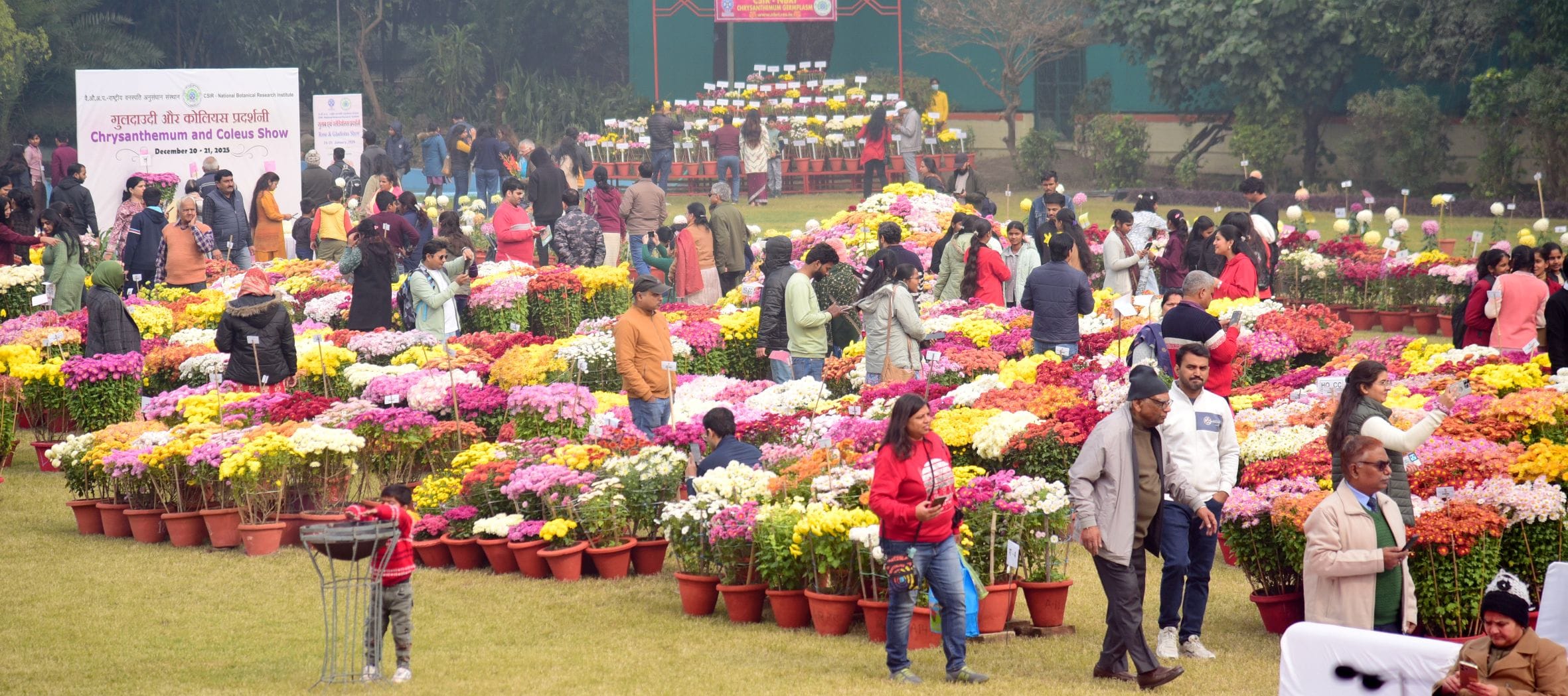 गुलदाउदी व कोलियस पुष्प प्रदर्शनी–2025 रविवार शाम खुशबू, सुकून और अनगिनत यादों को समेटे विदा हो गुलदाउदी व कोलियस पुष्प प्रदर्शनी–2025 रविवार शाम खुशबू, सुकून और अनगिनत यादों को समेटे विदा हो