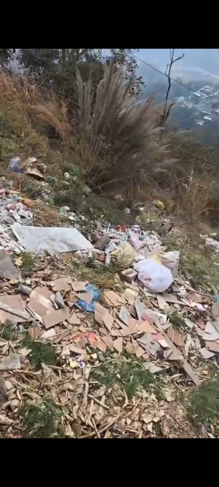 गाड़ी जिसके माध्यम से फेंका जा रहा था कचरा। वीडियोग्रैब। गाड़ी जिसके माध्यम से फेंका जा रहा था कचरा। वीडियोग्रैब।