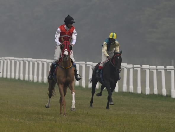 लखनऊ रेसकोर्स में रविवार को आयोजित अर्जुन कप घुडदाैड़ के दाैरान जीत के लिए रफ्तार भरते घोड़े व 