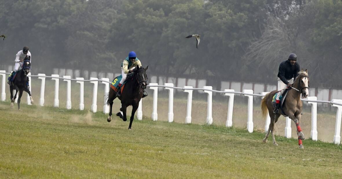 लखनऊ रेसकोर्स में रविवार को आयोजित अर्जुन कप घुडदाैड़ के दाैरान जीत के लिए रफ्तार भरते घोड़े व 