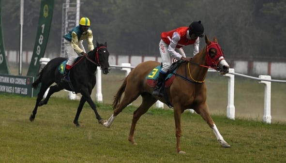 लखनऊ रेसकोर्स में रविवार को आयोजित अर्जुन कप घुडदाैड़ के दाैरान जीत के लिए रफ्तार भरते घोड़े व 