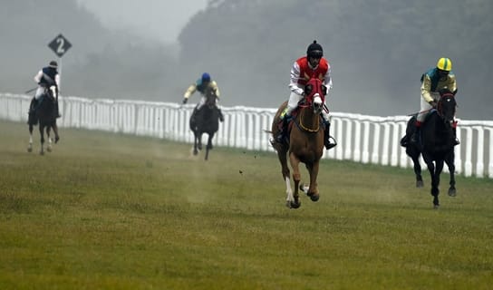 लखनऊ रेसकोर्स में रविवार को आयोजित अर्जुन कप घुडदाैड़ के दाैरान जीत के लिए रफ्तार भरते घोड़े व 