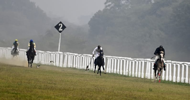 लखनऊ रेसकोर्स में रविवार को आयोजित अर्जुन कप घुडदाैड़ के दाैरान जीत के लिए रफ्तार भरते घोड़े व 
