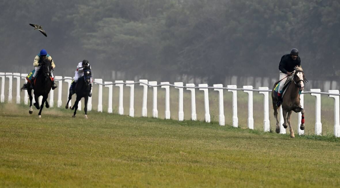 लखनऊ रेसकोर्स में रविवार को आयोजित अर्जुन कप घुडदाैड़ के दाैरान जीत के लिए रफ्तार भरते घोड़े व 