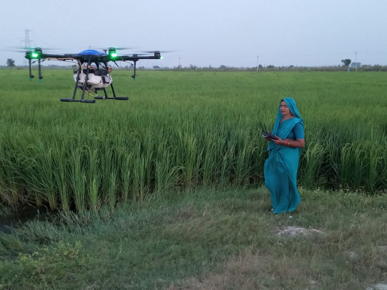 फोटो 32 तरौली में बना हुआ पॉली हाउस