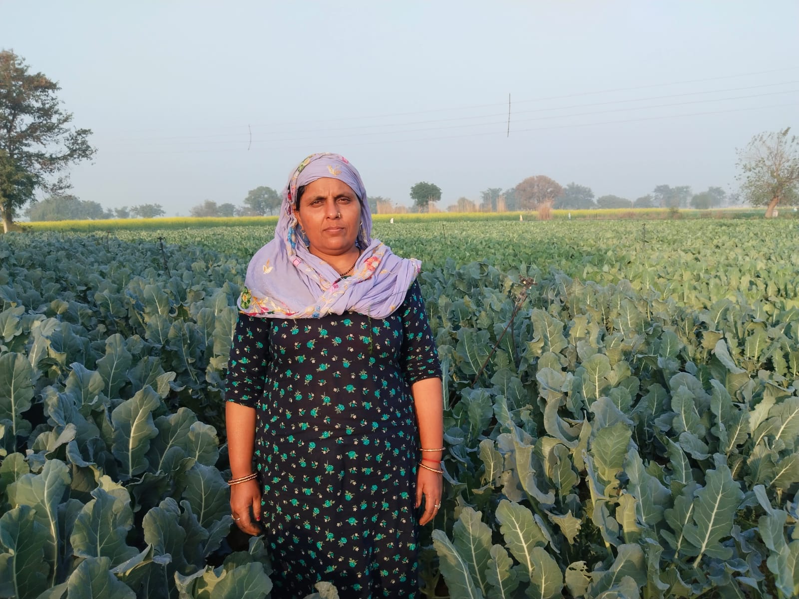 किसान सत्यवान
