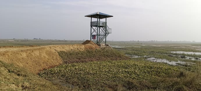 वैटलैंड में मौजूद प्रवासी पक्षी स्रोत संवाद