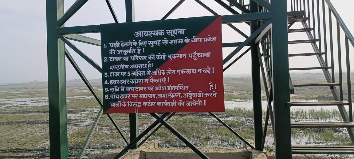 वैटलैंड में मौजूद प्रवासी पक्षी स्रोत संवाद