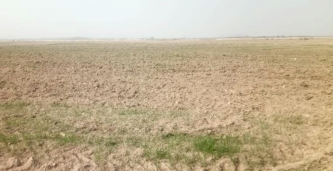 कटरी में हमले में क्षतिग्रस्त वन विभाग के अफसरों की कार। स्रोत: स्वयं कटरी में हमले में क्षतिग्रस्त वन विभाग के अफसरों की कार। स्रोत: स्वयं