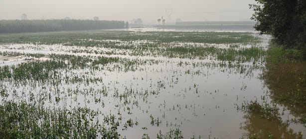 रजबहे के पानी से खासपुर-मंसूरपुर मार्ग पर टूटी सड़क व खड़े लोग: संवाद