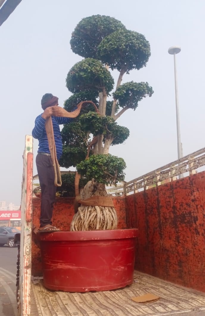 राष्ट्र प्रेरणा स्थल पर चल रहीं तैयारियां। राष्ट्र प्रेरणा स्थल पर चल रहीं तैयारियां।