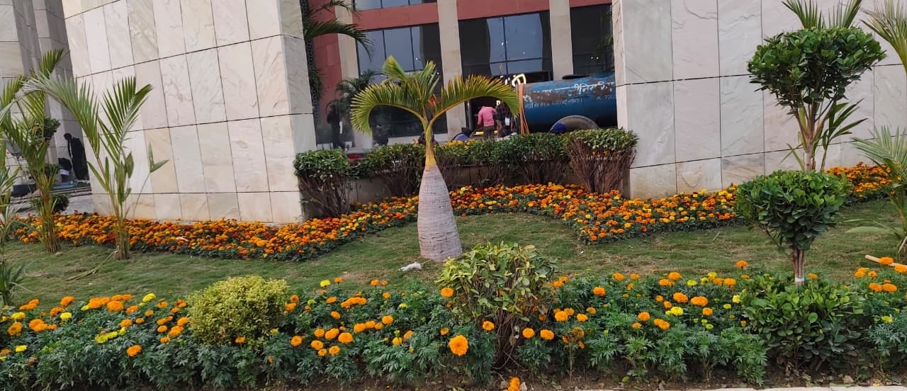 राष्ट्र प्रेरणा स्थल पर चल रहीं तैयारियां। राष्ट्र प्रेरणा स्थल पर चल रहीं तैयारियां।