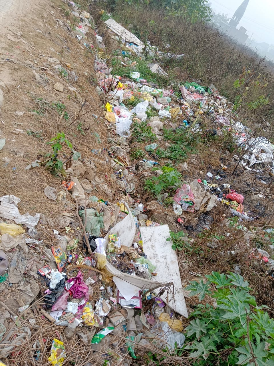 बराड़ा के वार्ड नंबर चार और 15 में गदंगी का आलम। संवाद
