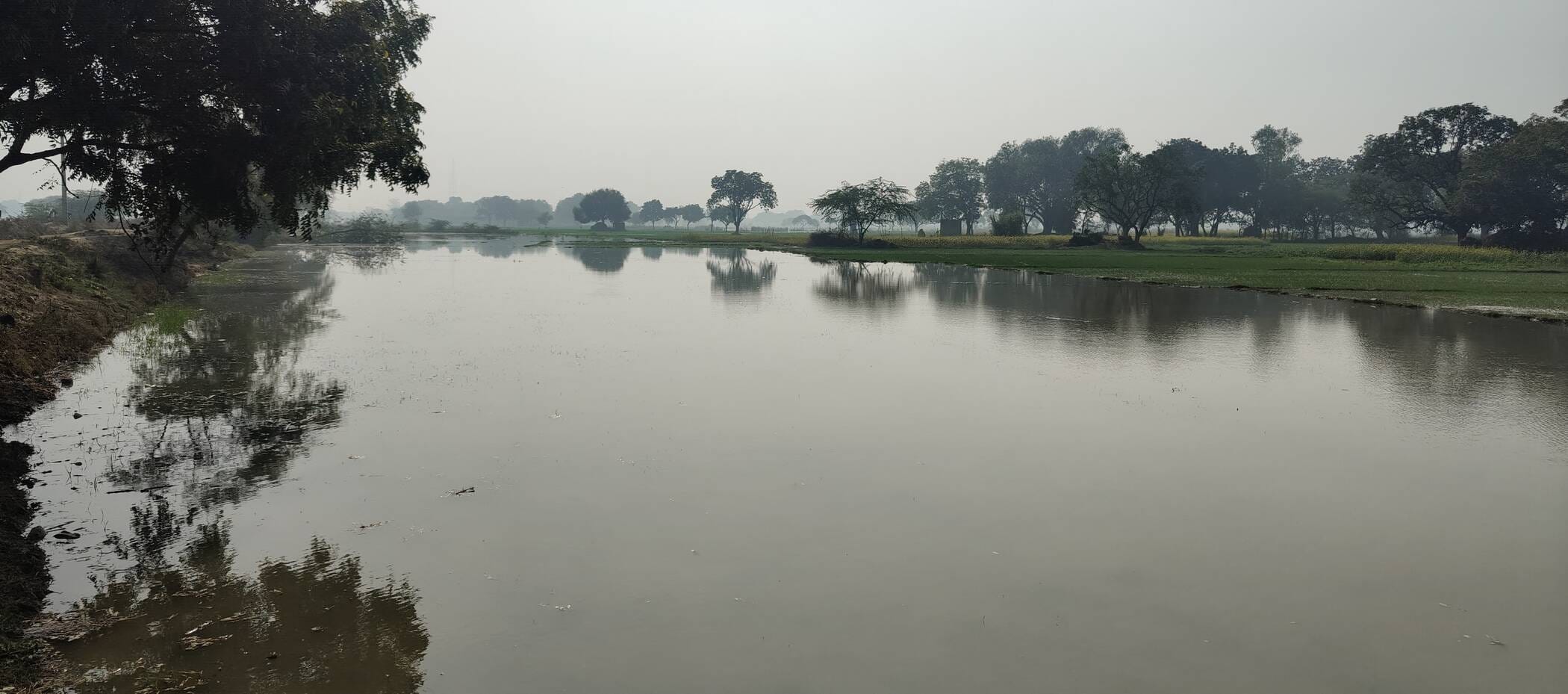 फोटो-39-थरियांव रजबहा में खांदी कटने से गेहूं की फसल में भरा पानी। संवाद फोटो-39-थरियांव रजबहा में खांदी कटने से गेहूं की फसल में भरा पानी। संवाद