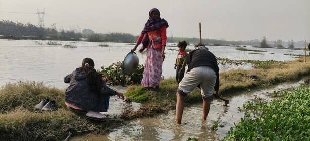 फसल डूबने वाली खबर के साथ: निक्की देवी फसल डूबने वाली खबर के साथ: निक्की देवी