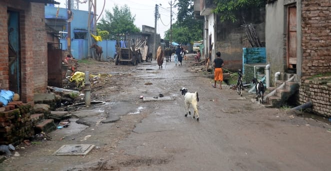 मोहनगंज स्थित निर्माणाधीन ग्रीन रोड। संवाद