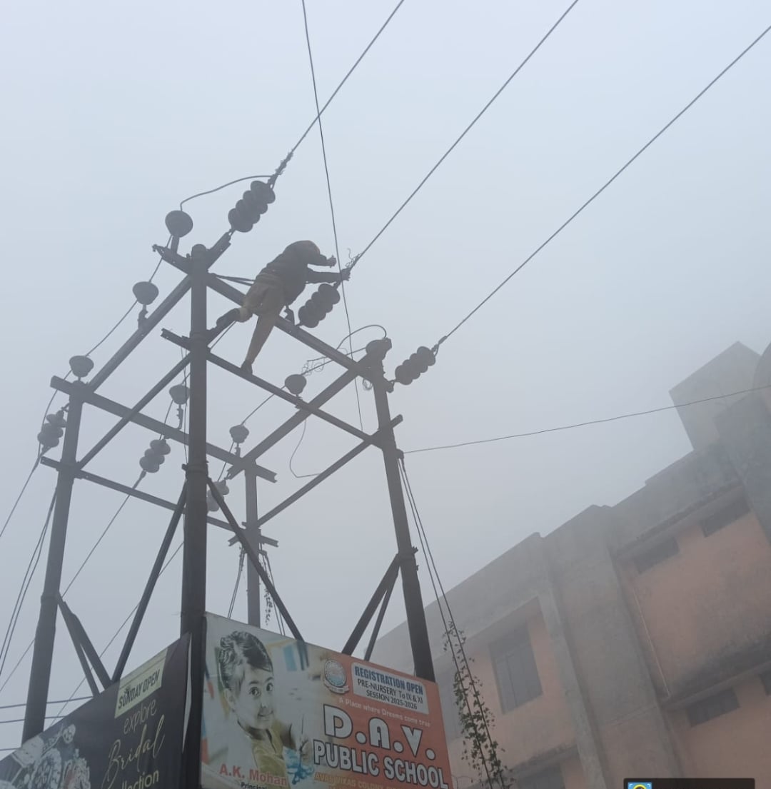 शाकुंतलम आवास विकास कॉलोनी के समीप पोल पर चढ़कर इंसुलेटर बदलता ऊर्जा निगम कर्मी। संवाद शाकुंतलम आवास विकास कॉलोनी के समीप पोल पर चढ़कर इंसुलेटर बदलता ऊर्जा निगम कर्मी। संवाद