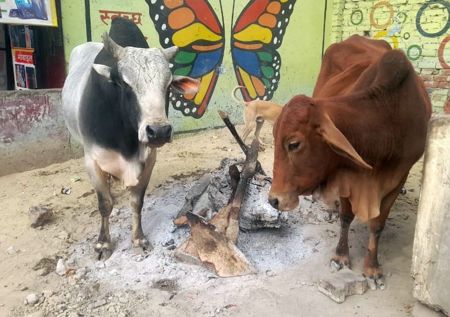 अंटा चौराहा पर बुझा पड़ा अलाव। संवाद अंटा चौराहा पर बुझा पड़ा अलाव। संवाद