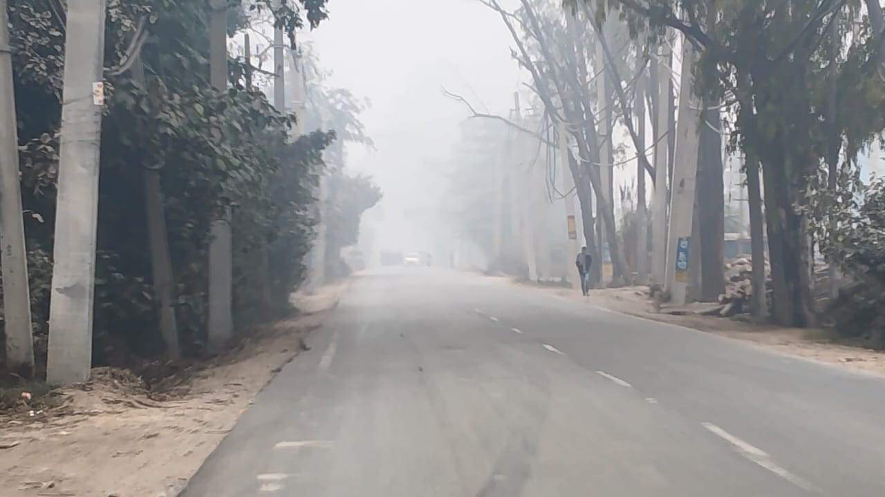 कोहरा घना होने से सरसों की फसल पर जमीं ओस की बूंदे। अशोक कुमार/ संवाद कोहरा घना होने से सरसों की फसल पर जमीं ओस की बूंदे। अशोक कुमार/ संवाद